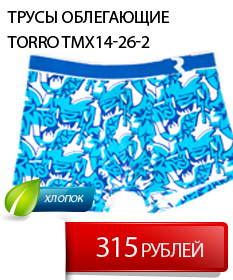 Мужские трусы Torro купить в СПБ